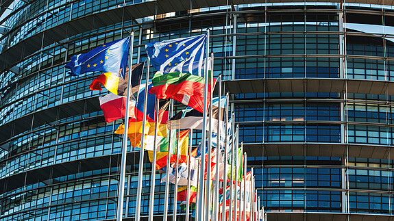 EU flags in front of Parliament eu, flag, europe flag, european flags, european union flag, usa flag, flags of the world, strasbourg, european parliament, france, geopolitics, banner, europe, symbol, union, international, blue, background, fabric, country, national, community, world, color, patriotism, textile, identity, horizontal, parliament, culture, political, brussels, sunbeam, collection, germany, sweden, finland, official, geography, stripe, european union, material, states, alliance, legislation, cooperation, harmony, democracy, unification