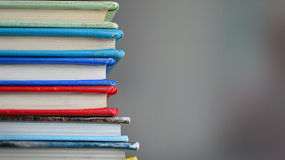 Internationale Bildungspartnerschaft angeregt Verschiedenfarbige Bücher