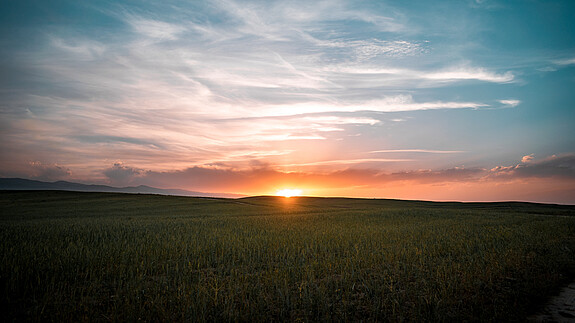 Horizont Horizont