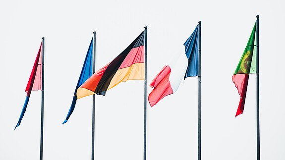 Effiziens-Maschine öffentlicher Dienst in Deutschland Flaggen von Mitgliedstaaten der Europäischen Union