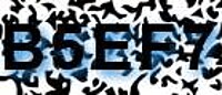 grafischer Sicherheitscode