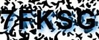grafischer Sicherheitscode