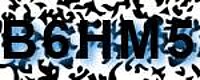 grafischer Sicherheitscode