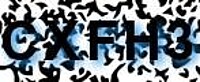 grafischer Sicherheitscode