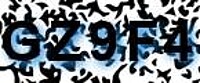 grafischer Sicherheitscode