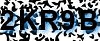 grafischer Sicherheitscode