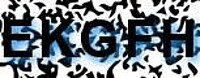 grafischer Sicherheitscode